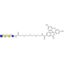 Isoglobotetraose (iGb4) analogue linked to fluorescein (Linker-FLUO B)