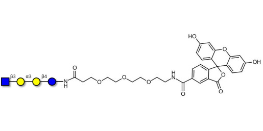 Isoglobotetraose (iGb4) analogue linked to fluorescein (Linker-FLUO B) - iGb4 analogue