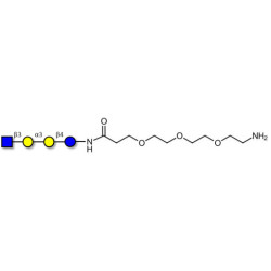 Isoglobotetraose (iGb4) analogue with free terminal amine (Linker-NH2 F)