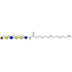 Isoglobo-H analogue type 1 with free terminal amine (Linker-NH2 F)