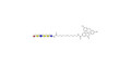 Isoglobo-H analogue type 2 linked to fluorescein (Linker-FLUO B)
