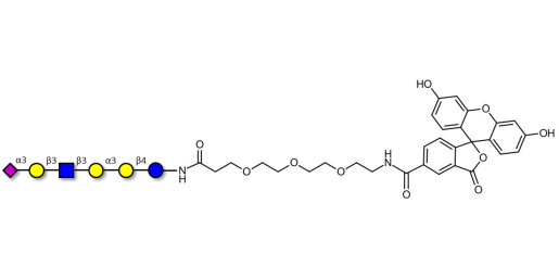 Sialylated isoglobopentaose (Sialylated iGb5) analogue type 1 linked to fluorescein (Linker-FLUO B) - Sialylated iGb5 analogue type 1