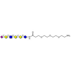 Sialylated isoglobopentaose (Sialylated iGb5) analogue type 1 with free terminal amine (Linker-NH2 F)