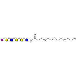 Sialylated isoglobopentaose (Sialylated iGb5) analogue type 1 with free terminal azide (Linker-N3 C)
