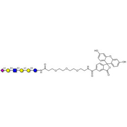 Sialylated isoglobopentaose (Sialylated iGb5) analogue type 2 linked to fluorescein (Linker-FLUO B)