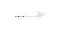 Sialylated isoglobopentaose (Sialylated iGb5) analogue type 2 linked to fluorescein (Linker-FLUO B) - Sialylated iGb5 analogue type 2