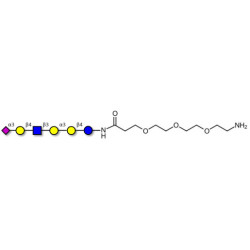 Sialylated isoglobopentaose (Sialylated iGb5) analogue type 2 with free terminal amine (Linker-NH2 F)