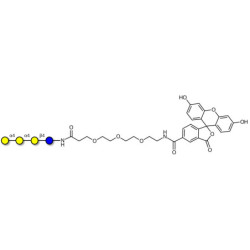 Galactosyl Globotriose (Gal-Gb3) linked to fluorescein (Linker-FLUO B)
