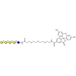 Galα1-4Galα1-4-Globotriose linked to fluorescein (Linker-FLUO B)