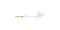 Galα1-4Galα1-4-Globotriose linked to fluorescein (Linker-FLUO B) - Galα1-4Galα1-4-Gb3