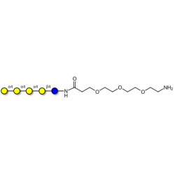 Galα1-4Galα1-4-Globotriose with free terminal amine (Linker-NH2 F)
