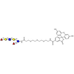 Lacto-N-Difucohexaose analogue linked to fluorescein (Linker-FLUO B)