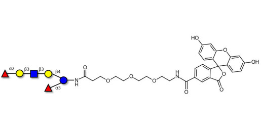 Lacto-N-Difucohexaose analogue linked to fluorescein (Linker-FLUO B)