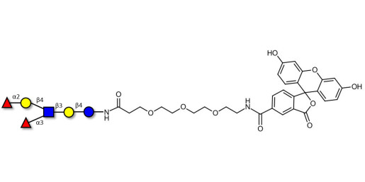  Lewis y (Ley) hexaose/ Lacto-N-neoDiFucohexaose I (LNnDFH-I) linked to fluorescein (Linker-FLUO B) - Lewis y hexasaccharide