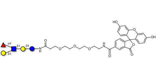 Lacto-N-fucopentaose II (LNFP II) linked to fluorescein (Linker-FLUO B) - Lewis A antigen