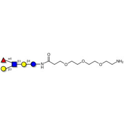 Lacto-N-fucopentaose II (LNFP II) with free terminal amine (Linker-NH2 F)