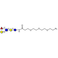 Lacto-N-fucopentaose II (LNFP II) with free terminal azide (Linker-N3 C)