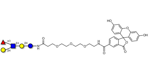 Lacto-N-fucopentaose III (LNFP III) linked to fluorescein (Linker-FLUO B) - Lewis x pentaose