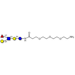 Lacto-N-fucopentaose III (LNFP III) with free terminal amine (Linker-NH2 F)