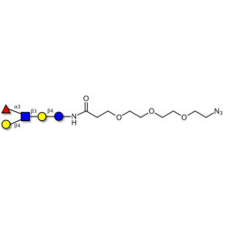 Lacto-N-fucopentaose III (LNFP III) with free terminal azide (Linker-N3 C)