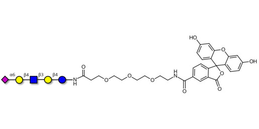 LS-Tetrasaccharide c (LSTc)  linked to fluorescein (Linker-FLUO B) - Sialyl-lacto-N-neotetraose c ; SLNnT-c