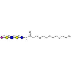 LS-Tetrasaccharide c (LSTc)  with free terminal azide (Linker-N3 C)