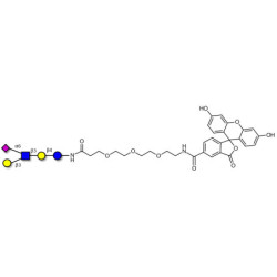 LS-Tetrasaccharide b (LSTb)  linked to fluorescein (Linker-FLUO B)