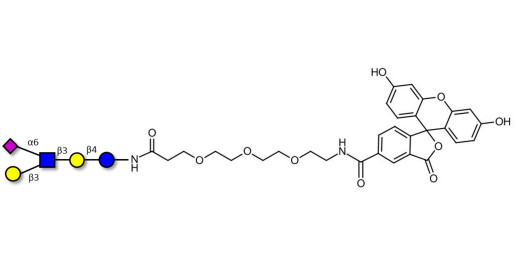 LS-Tetrasaccharide b (LSTb)  linked to fluorescein (Linker-FLUO B) - Sialyl-lacto-N-neotetraose b ; SLNnT-b