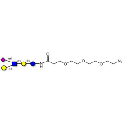 LS-Tetrasaccharide b (LSTb)  with free terminal azide (Linker-N3 C)