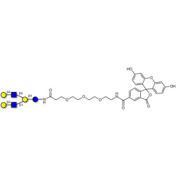 Lacto-N-neohexaose (LNnH) linked to fluorescein (Linker-FLUO B)