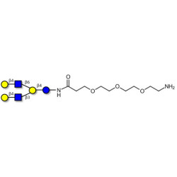 Lacto-N-neohexaose (LNnH) with free terminal amine (Linker-NH2 F)