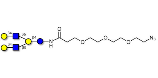 Lacto-N-neohexaose (LNnH) with free terminal azide (Linker-N3 C)