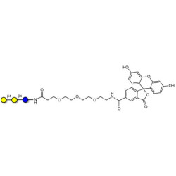 4'-Galactosyllactose (4'GL)  linked to fluorescein (Linker-FLUO B)
