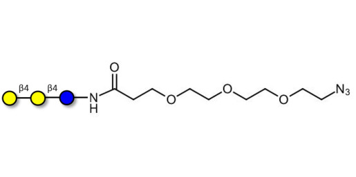 4'-Galactosyllactose (4'GL)  with free terminal azide (Linker-N3 C)