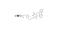 Core type 1 triose linked...