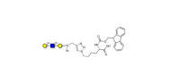 Core type 2 triose linked...