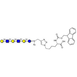 Para-Lacto-N-neohexaose (Para-LNnH) linked to Fmoc-Lysine (Linker-Lys A)