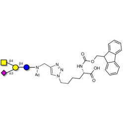 GM2 Ganglioside oligosaccharide linked to Fmoc-Lysine (Linker-Lys A)