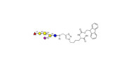 Fucosyl GM1 Ganglioside...