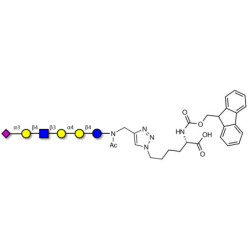 Stage-Specific Embryonic Antigen-4 (SSEA-4) hexaose analogue type 2 linked to Fmoc-Lysine (Linker-Lys A)