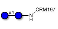 Maltose DP2 grafted on CRM197