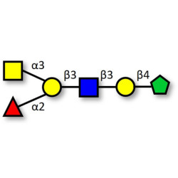 Blood group A antigen hexaose type 1 fructose isomer (>90% NMR)