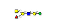 Blood group A antigen...