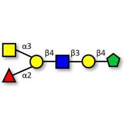 Blood group A antigen hexaose type 2 fructose isomer (>90% NMR)