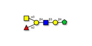 Blood group A antigen...