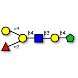 Blood group B antigen hexaose type 2 fructose isomer (>90% NMR)