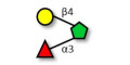 3-Fucosyllactulose (3-FL) (>90% NMR)