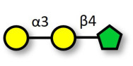 Isoglobotriose (iGb3)...