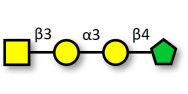 Isoglobotetraose (iGb4)...