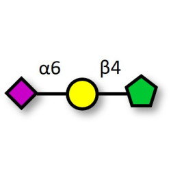 6'-Sialyllactulose (>90% NMR)